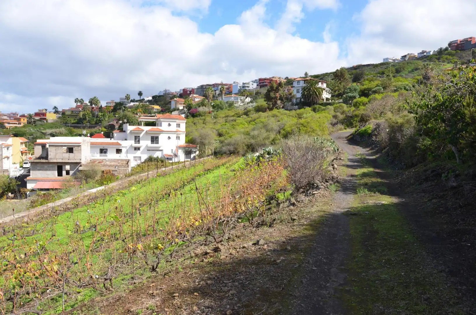 Vista exterior de Casa o chalet en venta en Santa Úrsula con Jardín privado, Terraza y Trastero