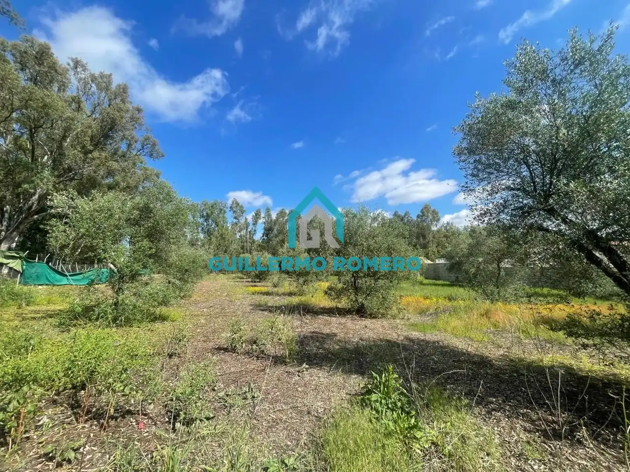 Terreni e lotti in vendita a La Puebla del Río, imagen 3