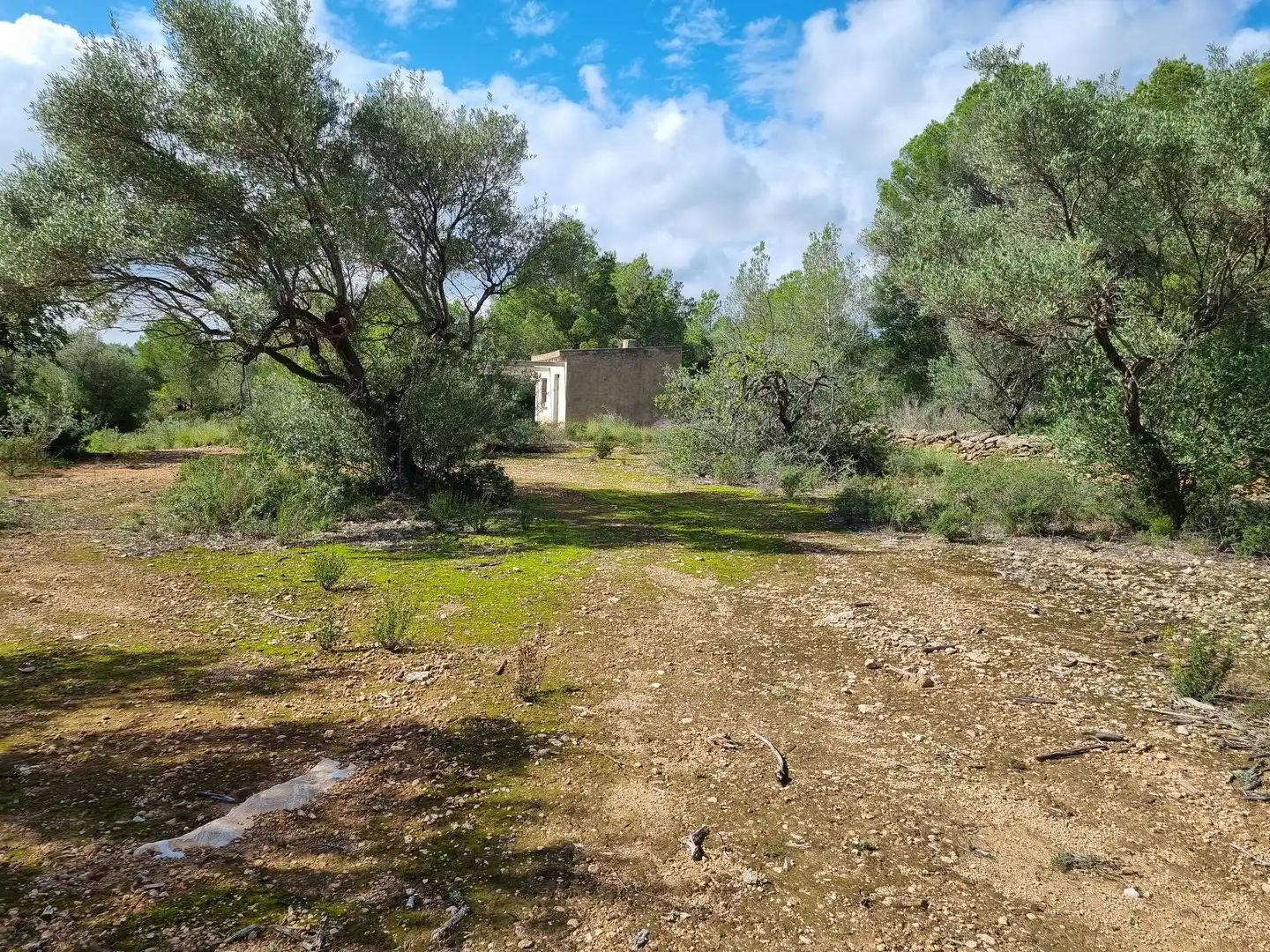 Terrain rustique à vendre à Carrer Andreu Llambrich 48, imagen 8