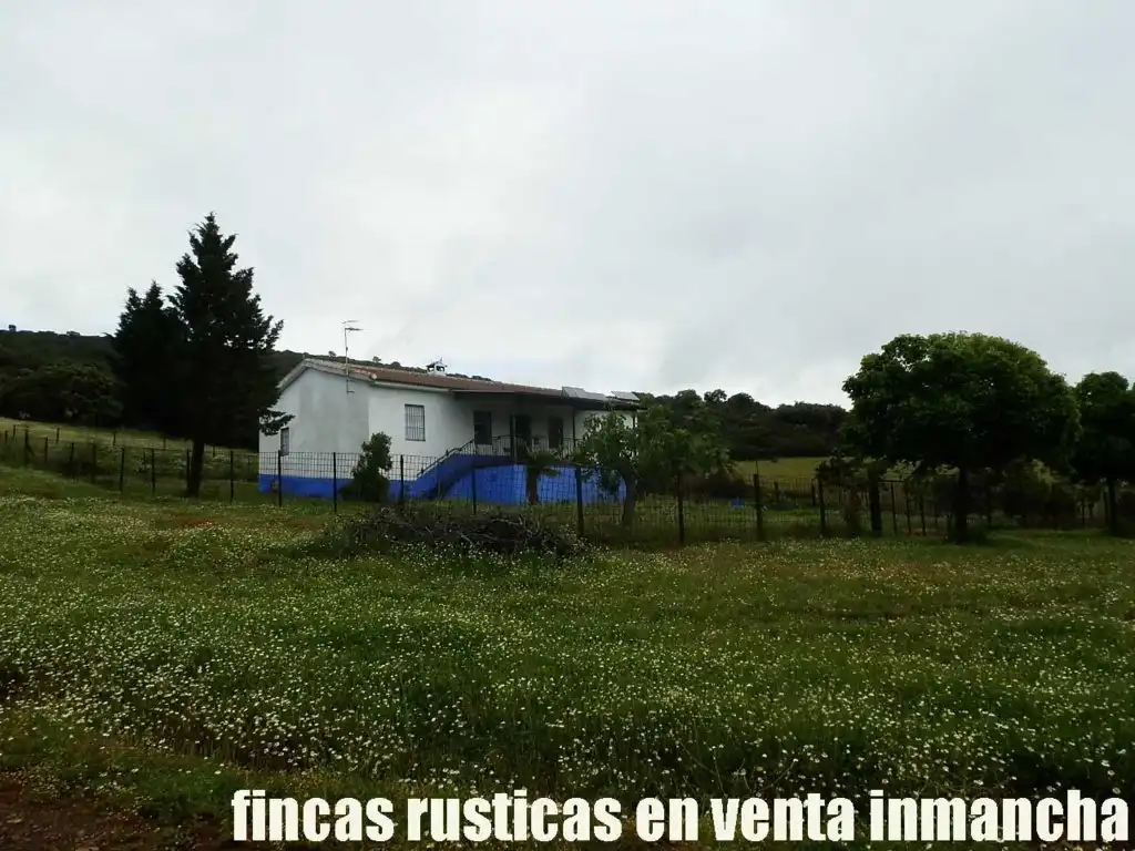Terreno rústico en venta en Abenójar, imagen 6