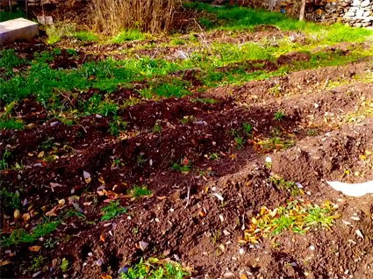 Terreno en venta en Cantalojas