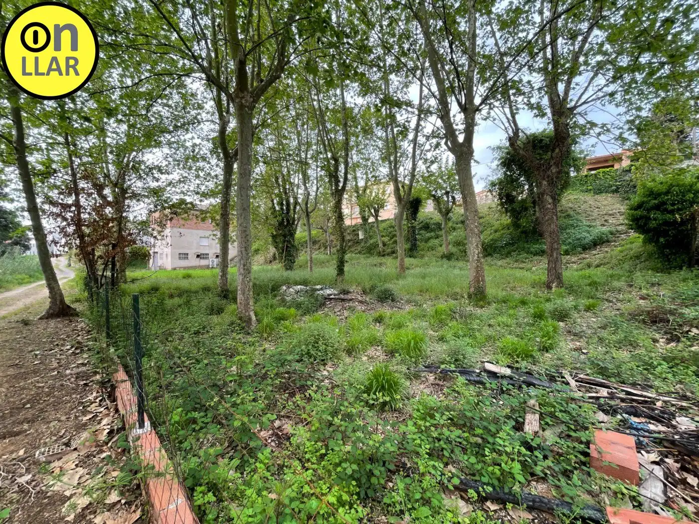 Residential land for sale in Calle Alzina, imagen 22