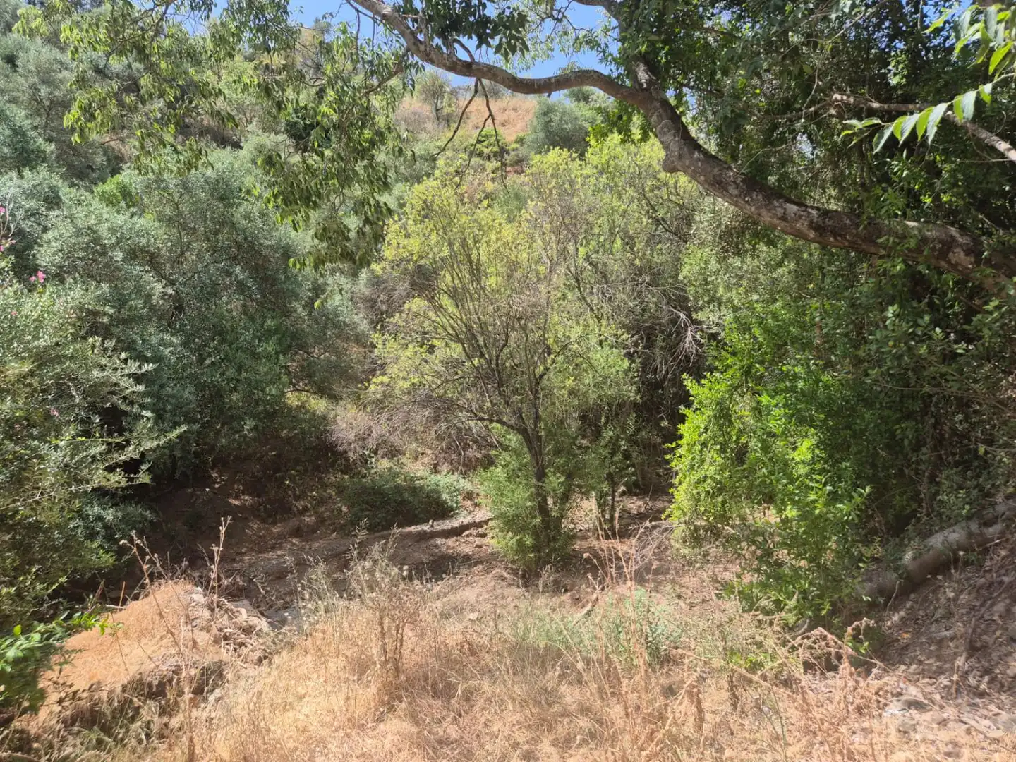 Finca rústica en venta en Guaro con Calefacción, Terraza y Trastero