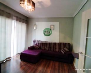 Sala d'estar de Apartament de lloguer en Badajoz Capital amb Aire condicionat, Calefacció i Parquet