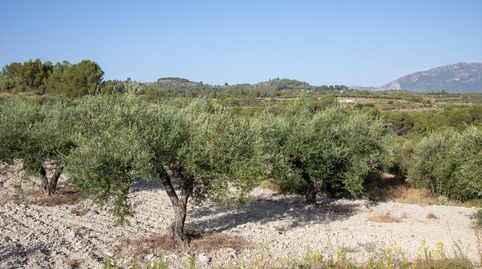 Foto 5 de Residencial en venda a Cort, Palma de Mallorca