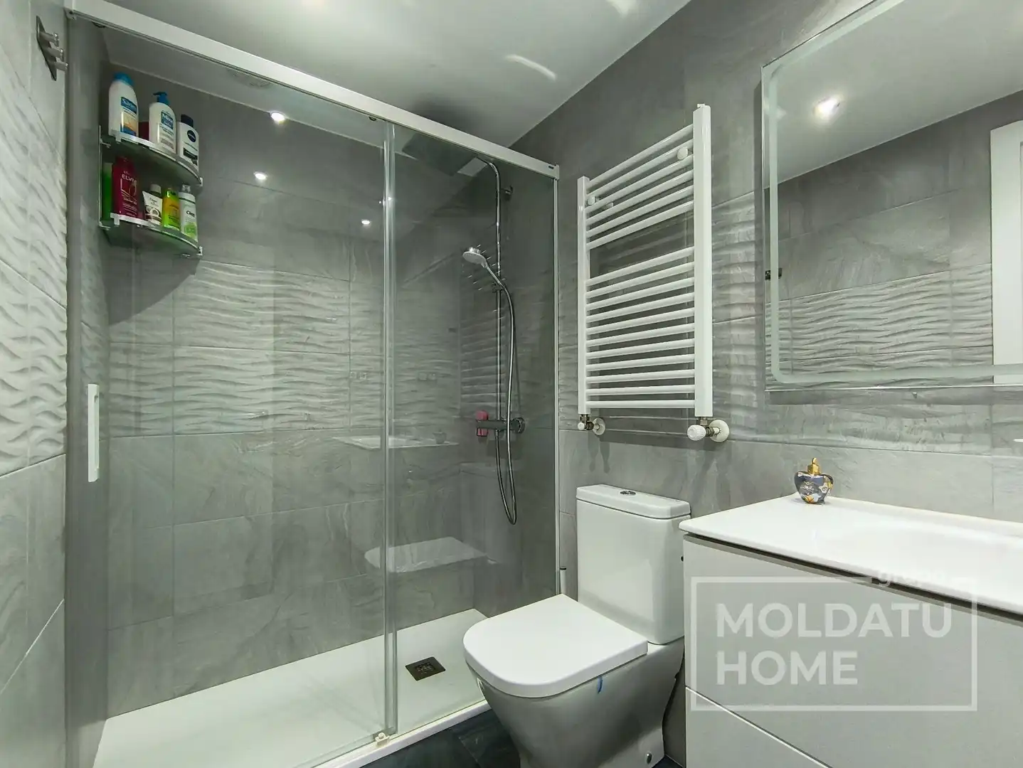 Bathroom of Flat for sale in Errekalde