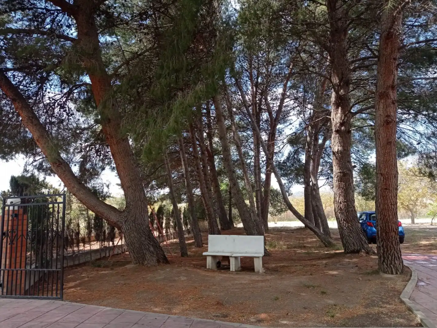 Casa rústica con jardín en venta en Cotera del Armajal 295, imagen 5