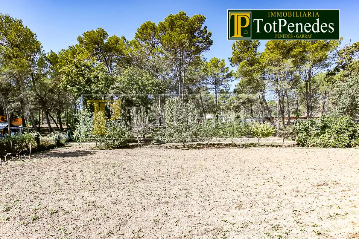 Terreno residenziale in vendita a Carrer David, imagen 5