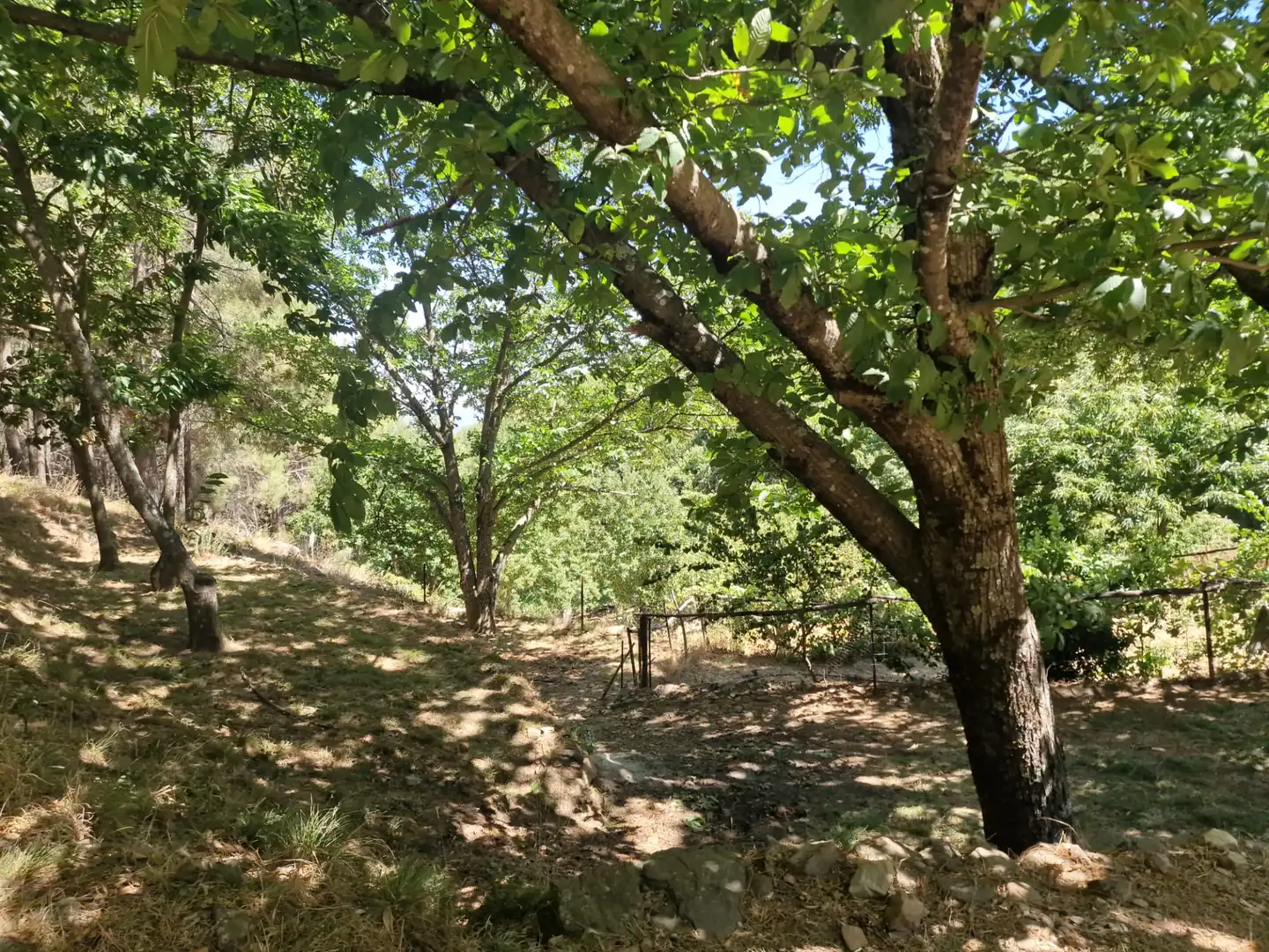 Terreno en venta en Guisando, Ávila