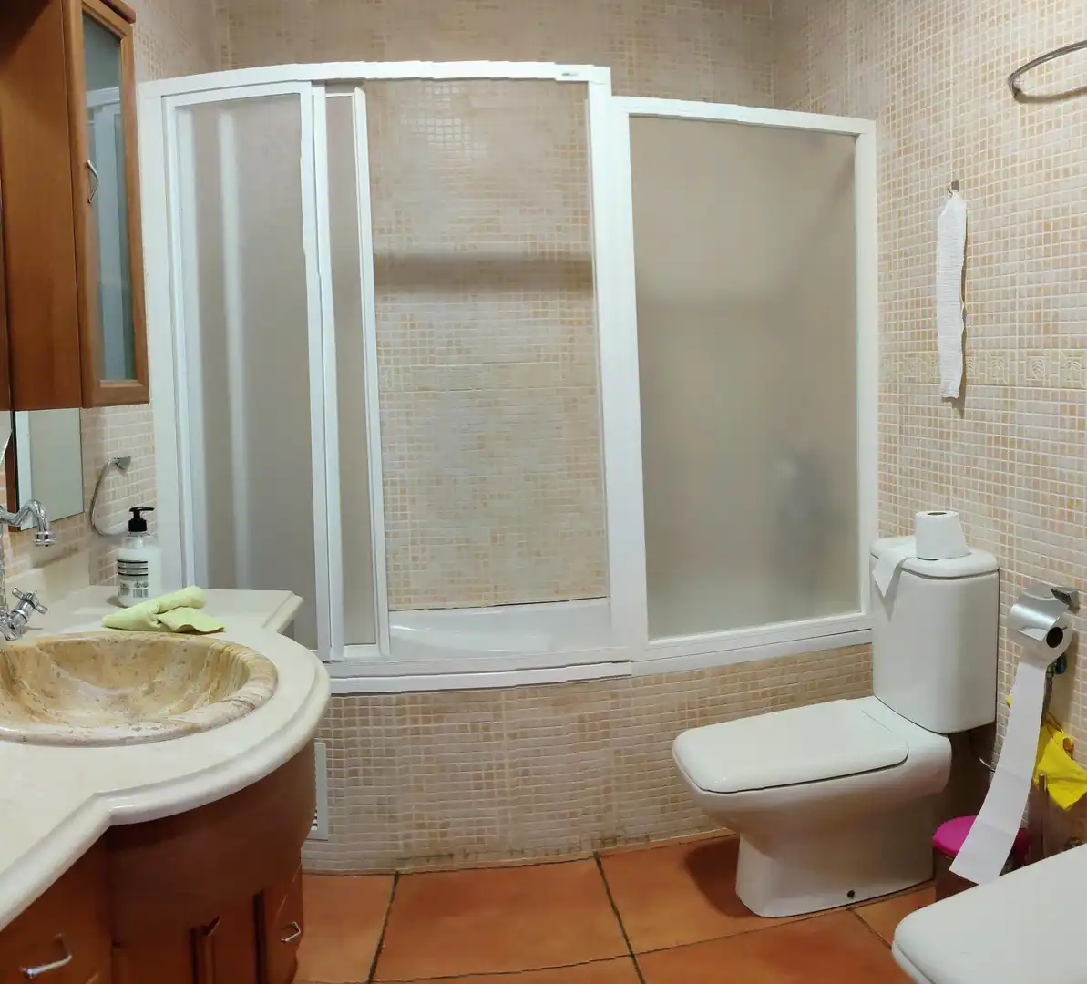 Baño de Dúplex en venta en Macael