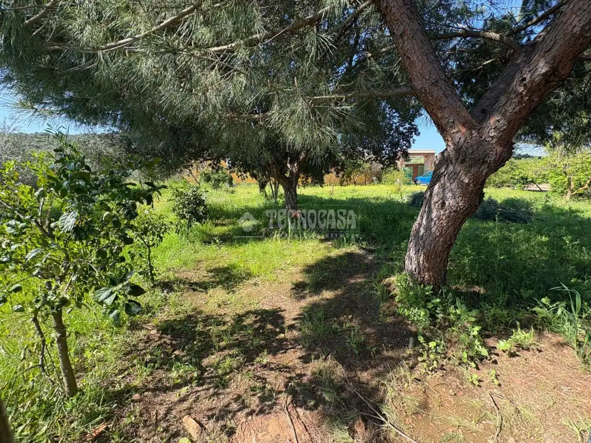 Terreno en venta en Táliga
