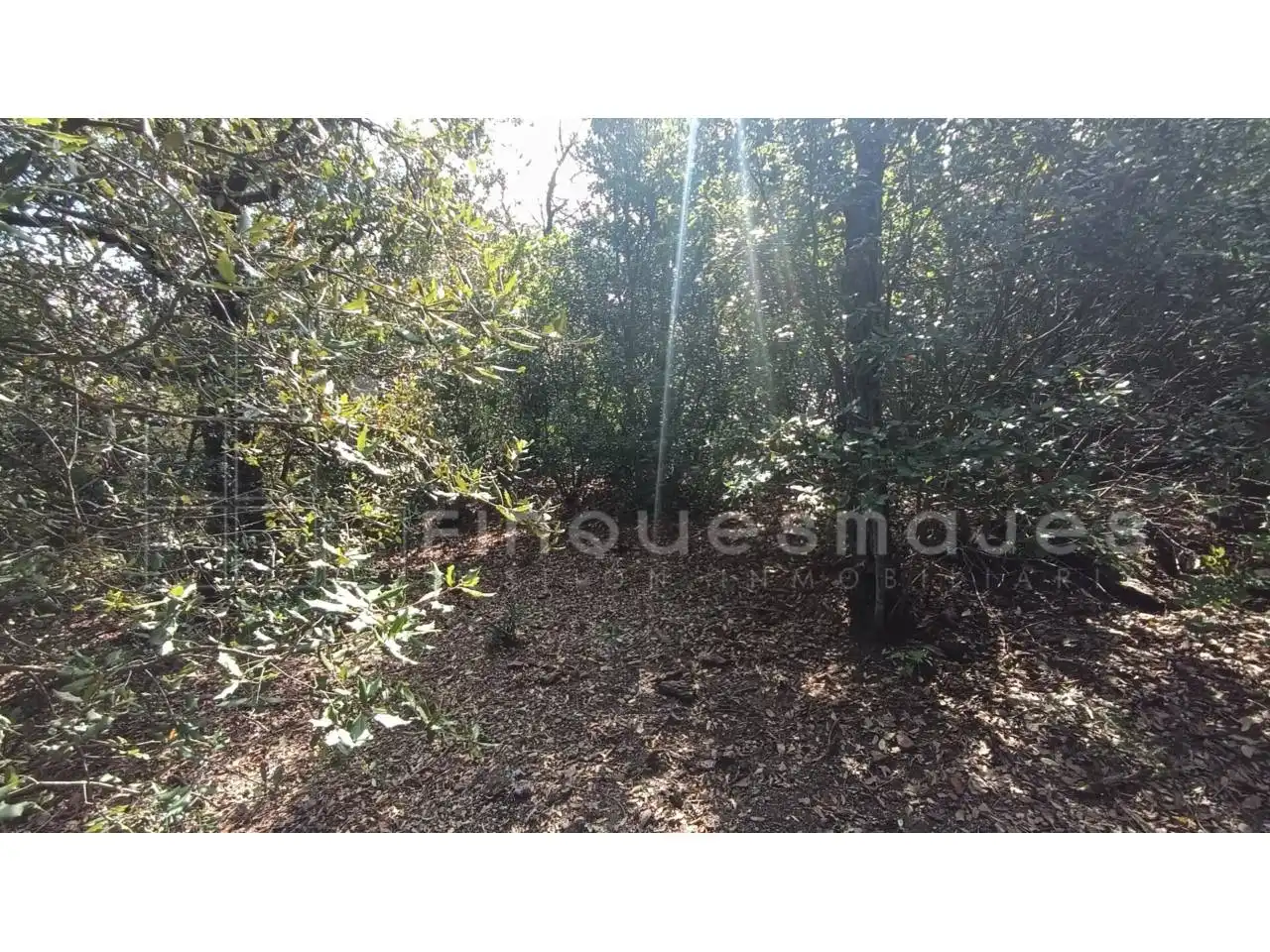 Terreny residencial en venda a Calle Torrent del Llor, imagen 7