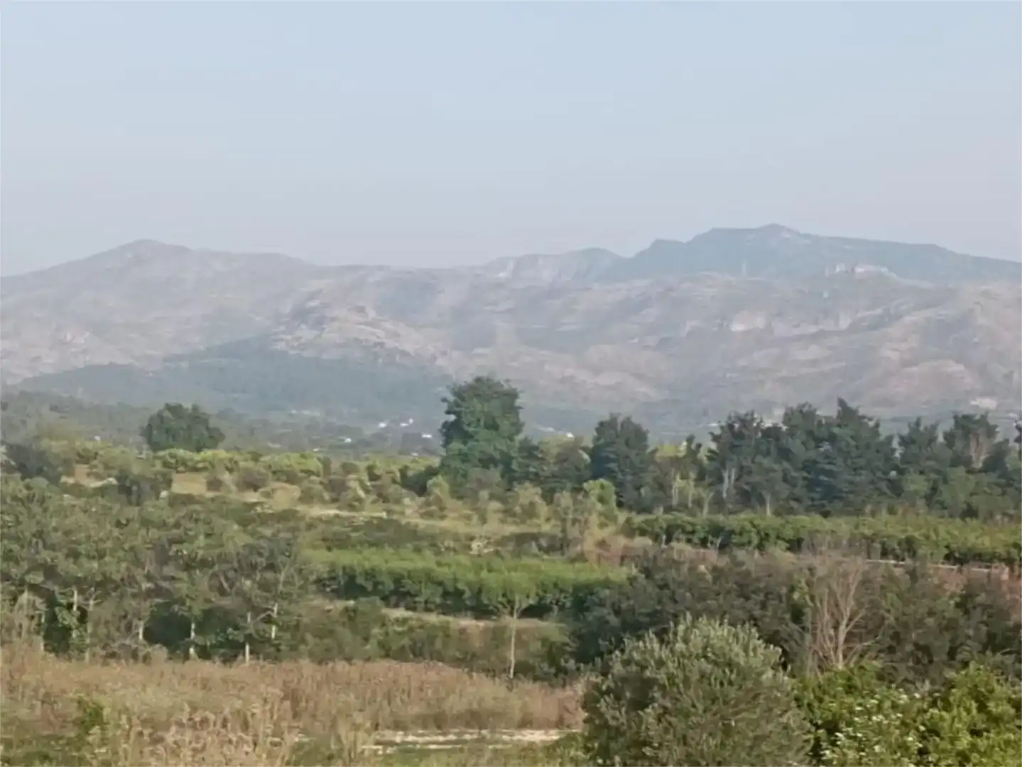 Terreno en venta en Llutxent, Valencia