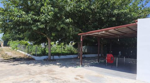 Foto 4 de Finca rústica en venta en Foios, Valencia