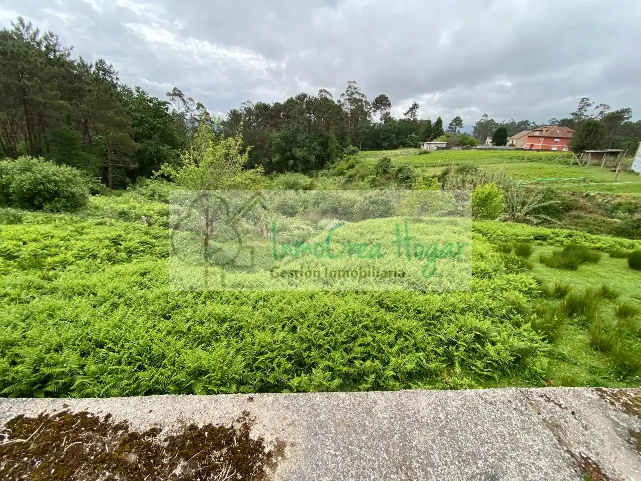 Terreny rústic en venda a Mos, imagen 5
