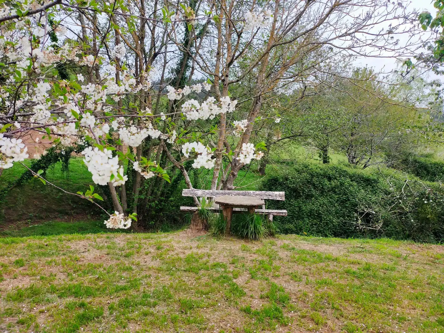 Casa rústica amb jardí en venda a Pravia, imagen 61