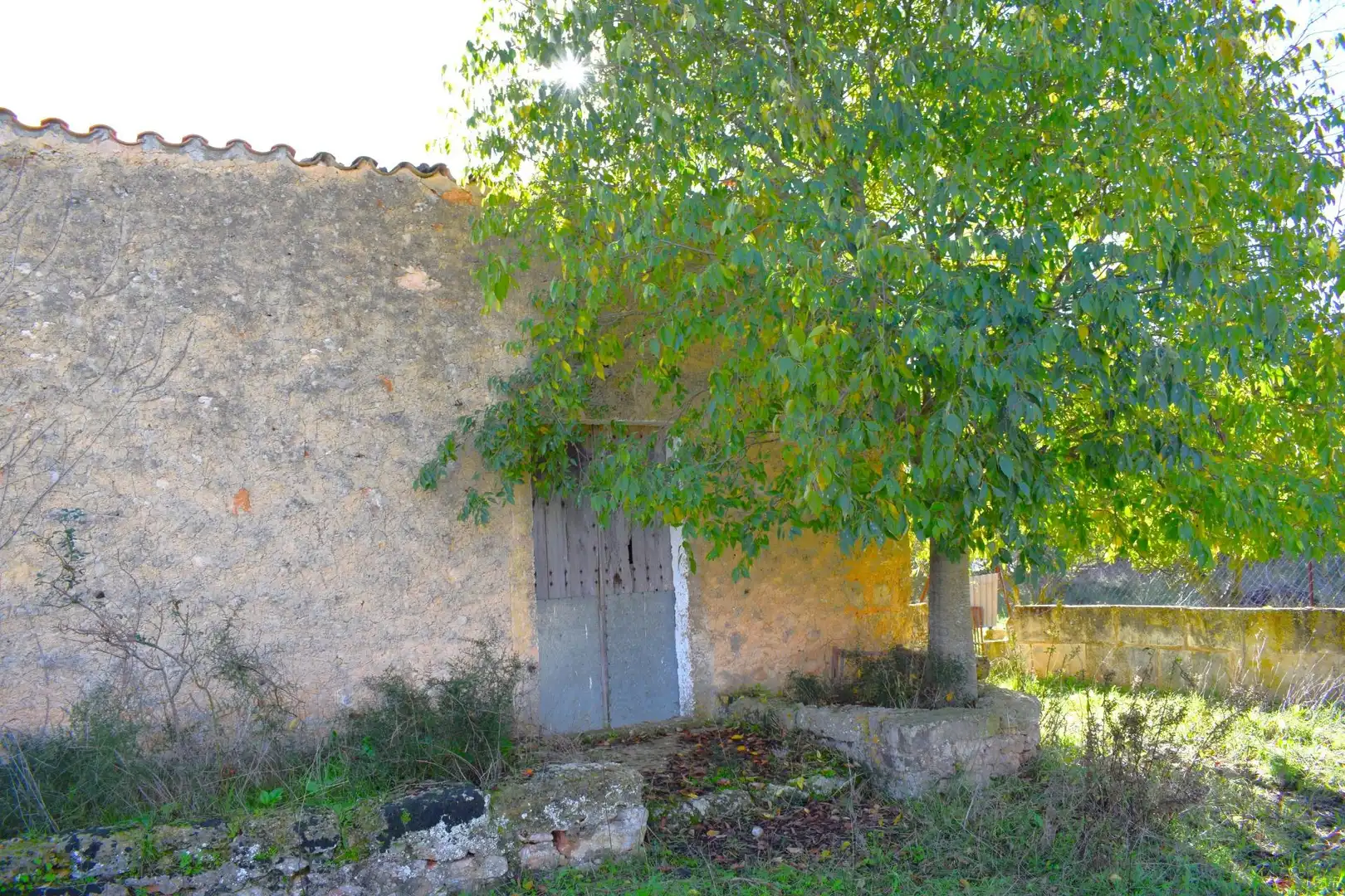 Residential land for sale in Llubí, imagen 6