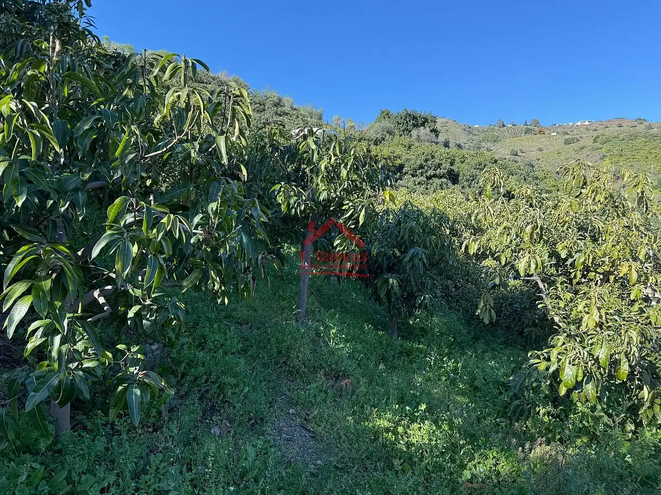 Country homes for sale in Sayalonga  with Air Conditioner, Heating and Terrace