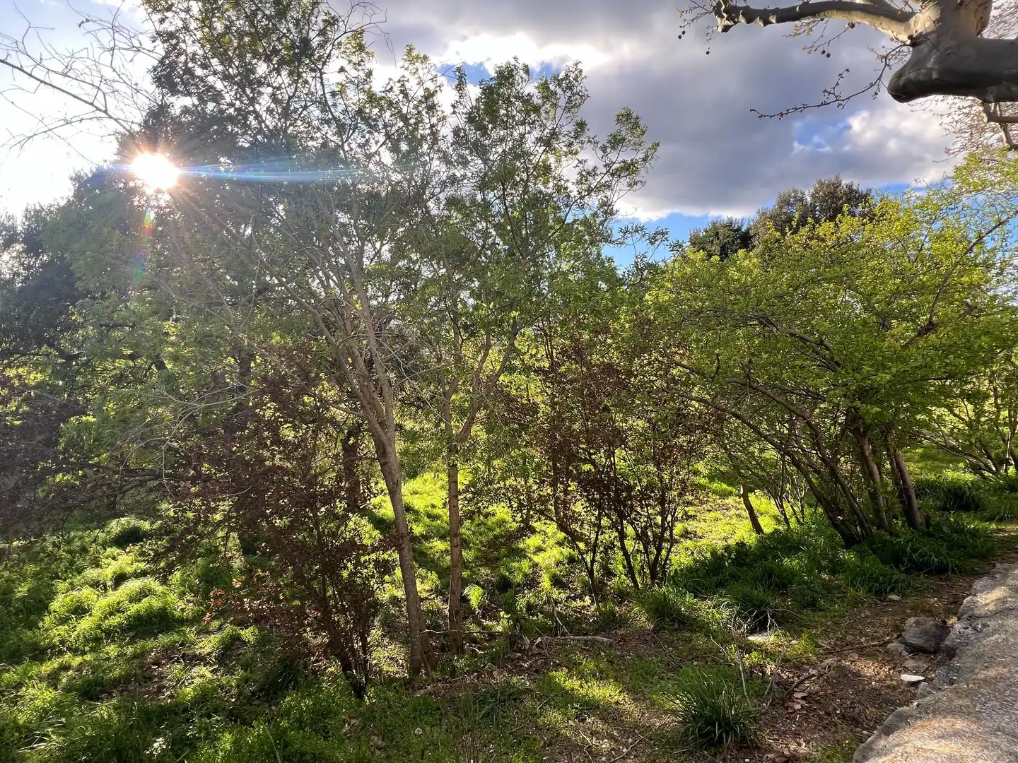Grundstücke und Bauplätze zum Verkauf in La Jonquera, imagen 2