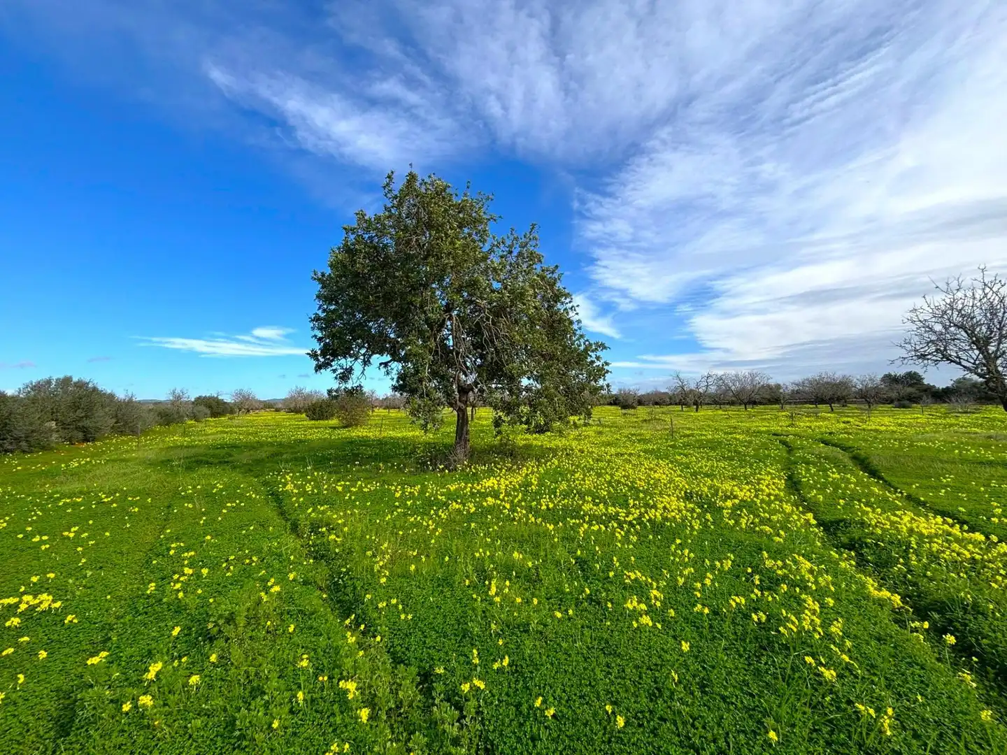 Residential land for sale in Zona Rústica - Interior, imagen 2