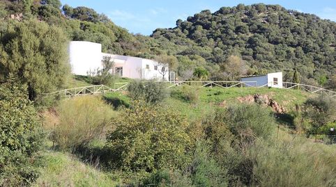 Finca Rúst. en venta en Algodonales, 4 dormitorios., imatge 5