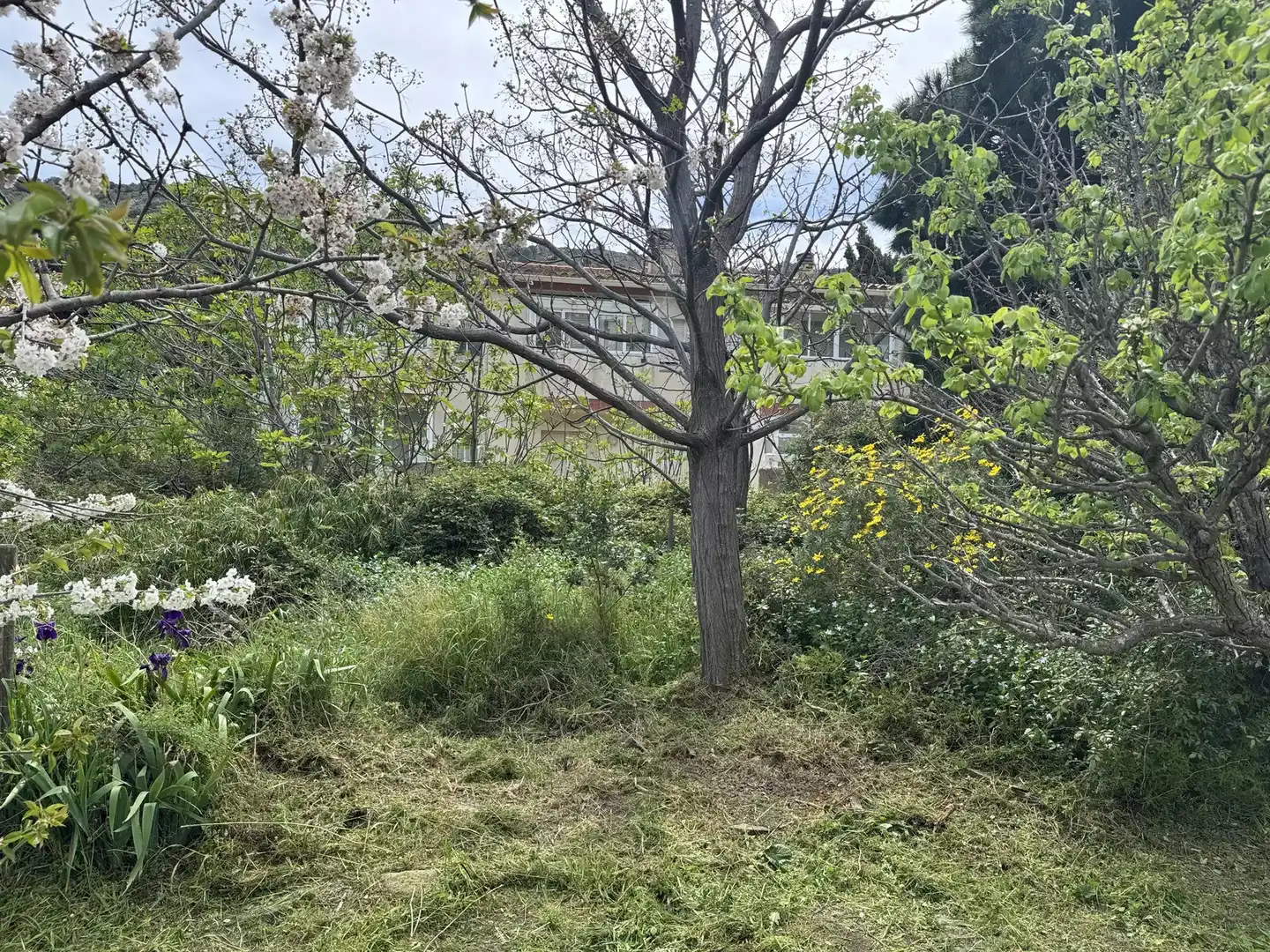 Casa o chalet en venta en Colera con Jardín privado y Terraza