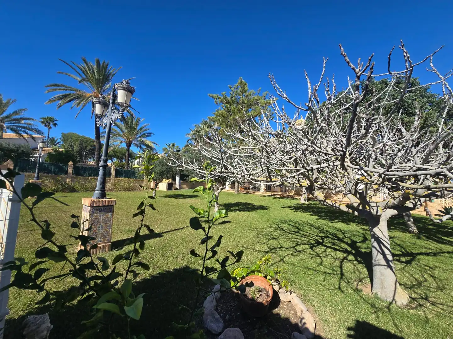 Jardí de Casa o xalet en venda en Orihuela amb Aire condicionat, Calefacció i Jardí privat
