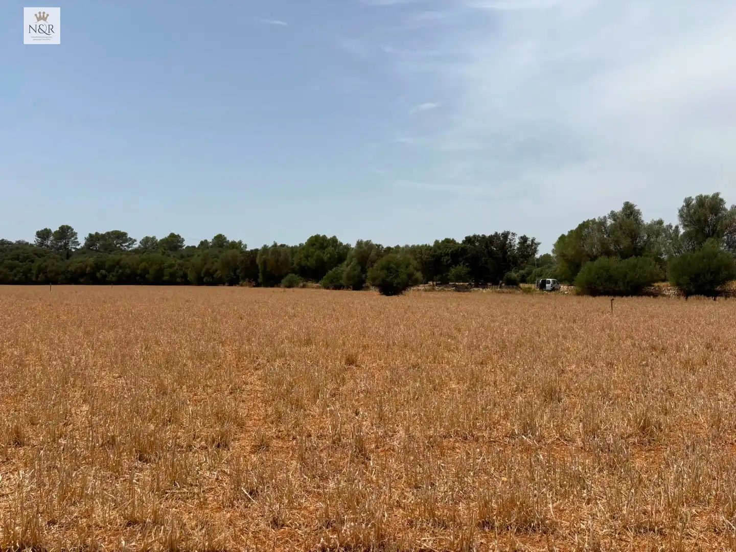 Finca rústica en venta en Sencelles