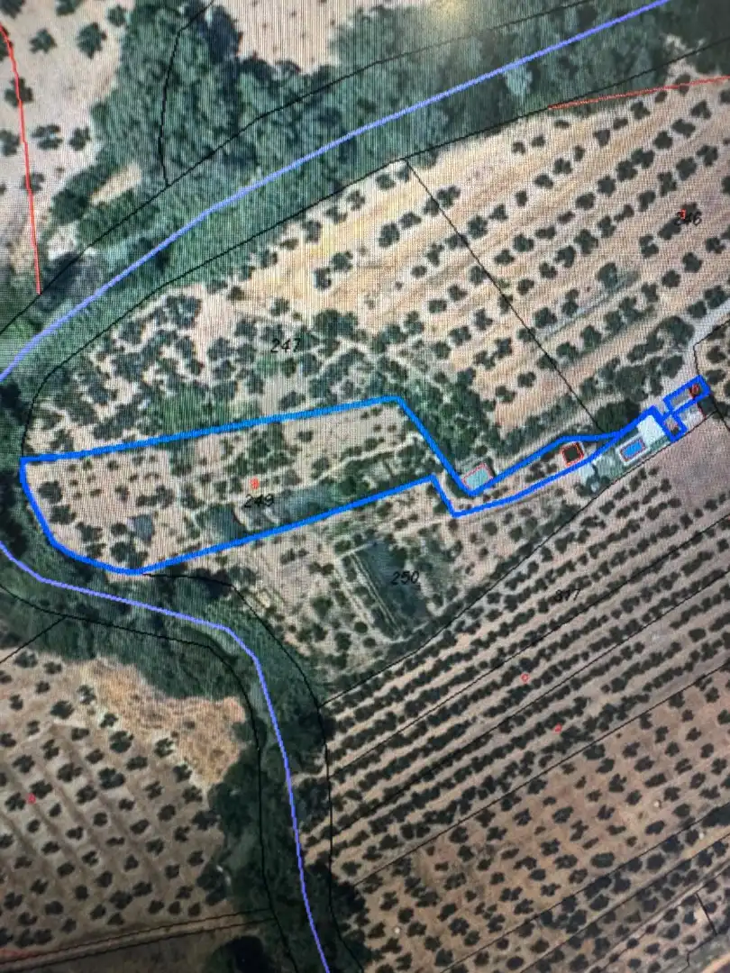 Terreni e lotti in vendita a Alcaudete