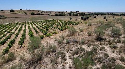 Photo 4 of Residential for sale in Sector 8, Polig, La Dehesa - El Pinar, Madrid