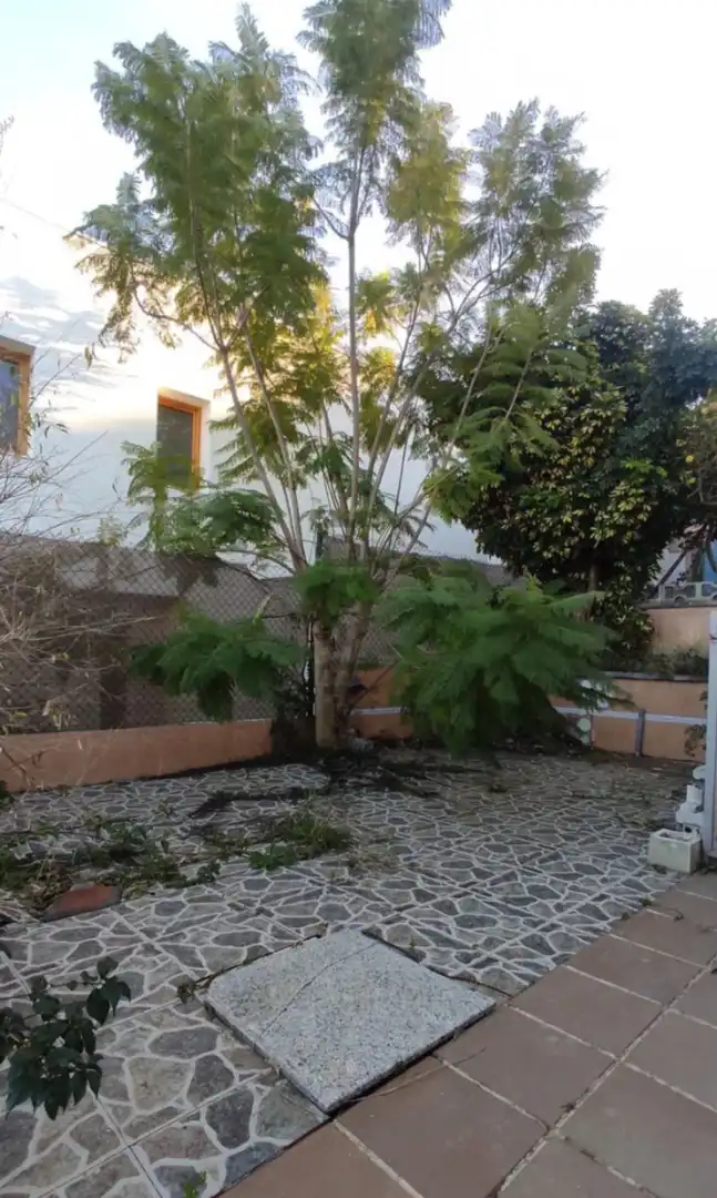 Jardí de Casa o xalet en venda en Creixell amb Jardí privat i Terrassa