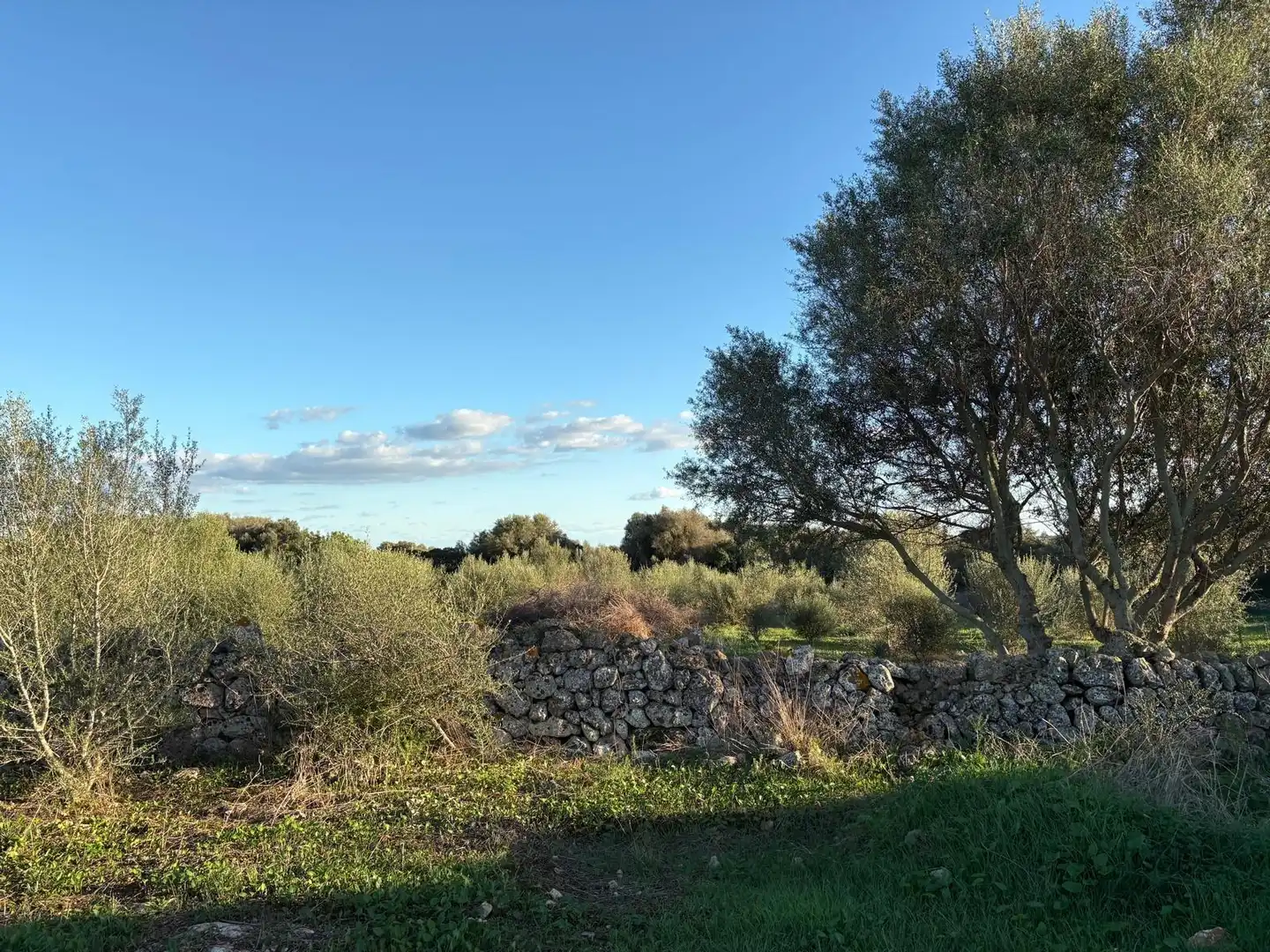 Rural land for sale in Sant Llorenç des Cardassar, imagen 24