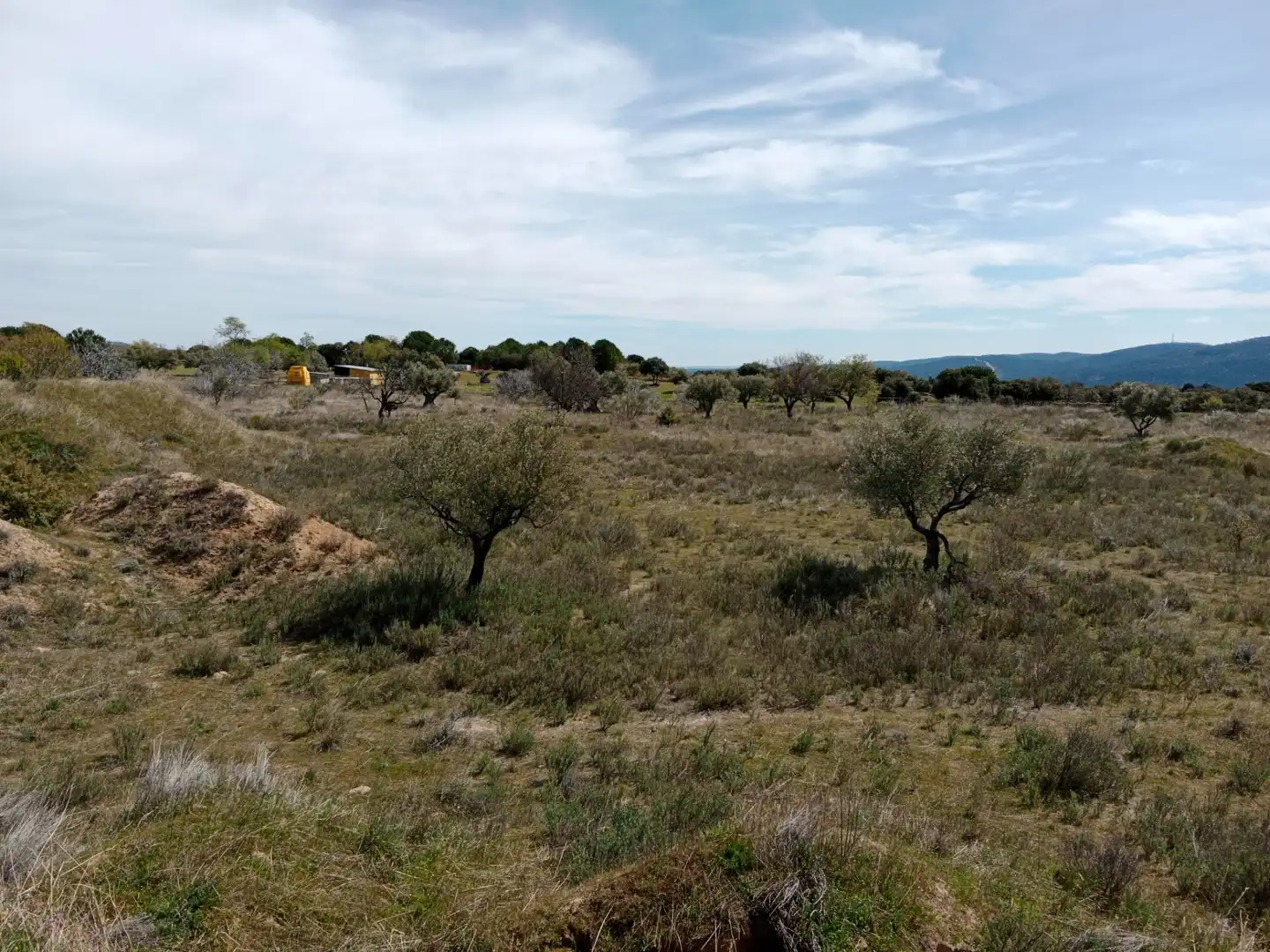 Terreno rustico in vendita a Camino Barzales, imagen 6