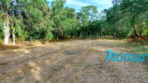 Photo 4 of Residential for sale in Poligono 4, Arcones, Segovia