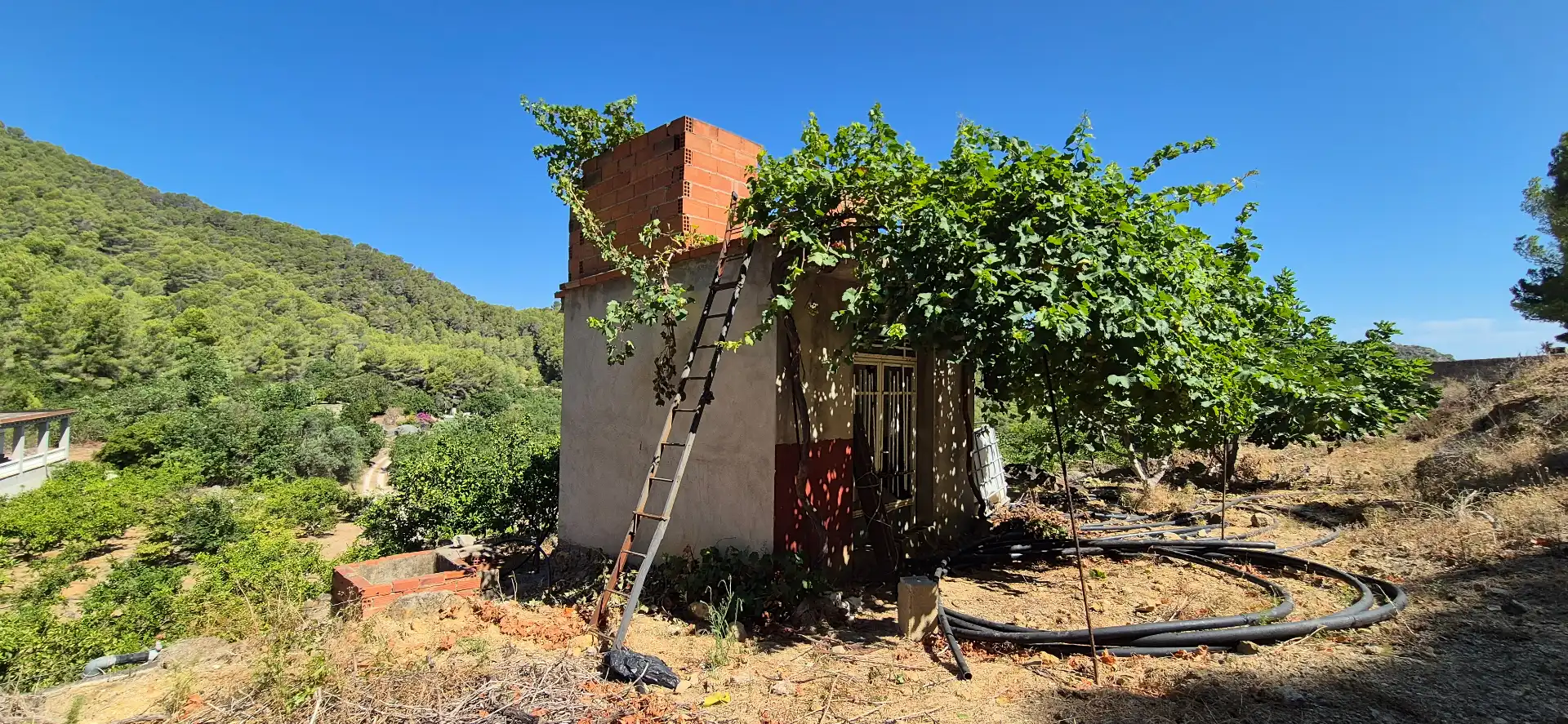 Vista exterior de Finca rústica en venta en Favara con Calefacción, Jardín privado y Terraza