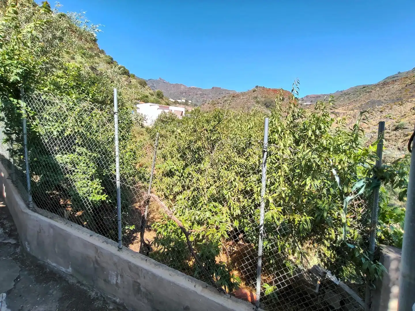 Casa o xalet en venda en Valsequillo de Gran Canaria amb Jardí privat