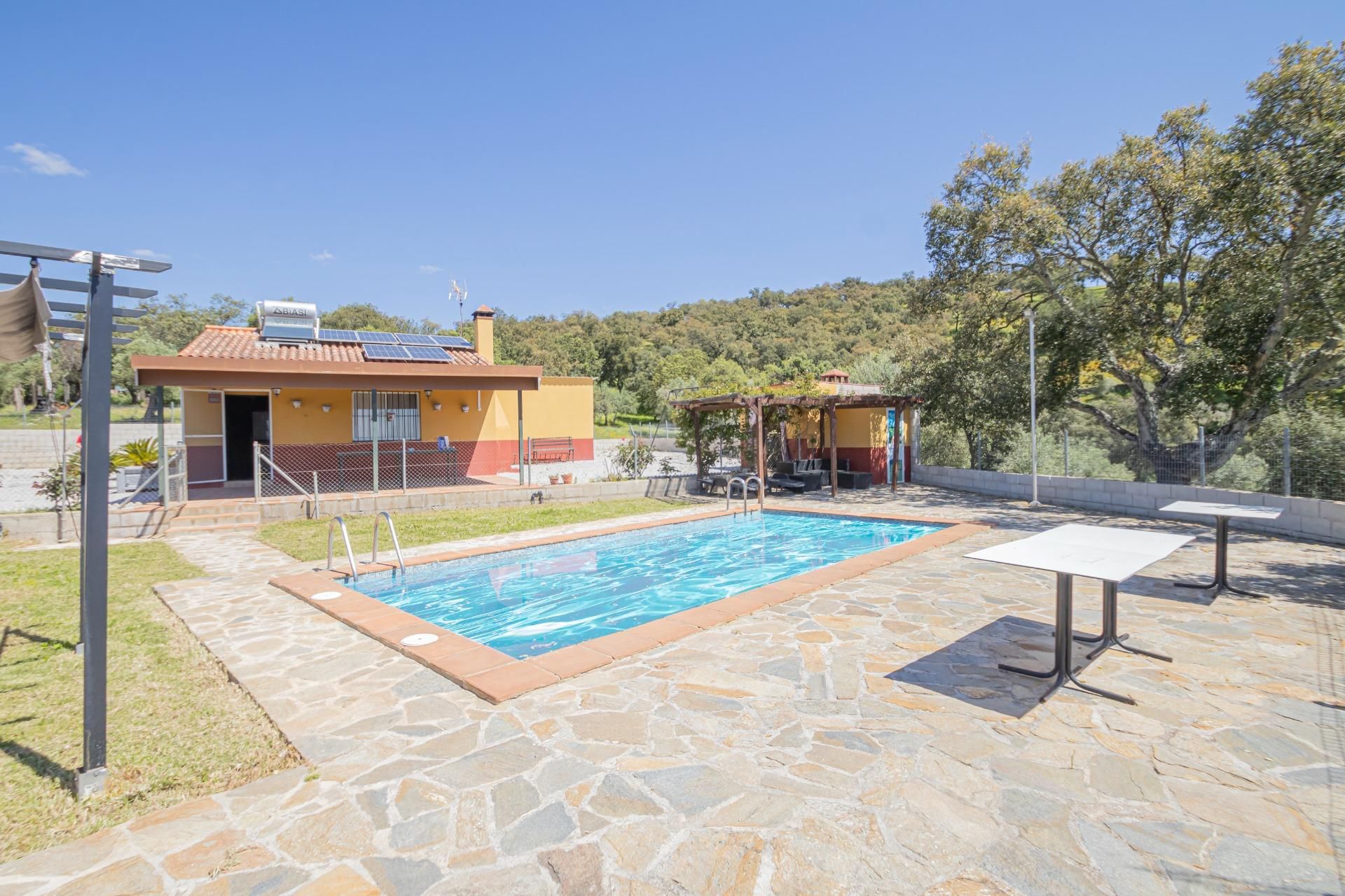 Swimming pool of Land for sale in El Pedroso