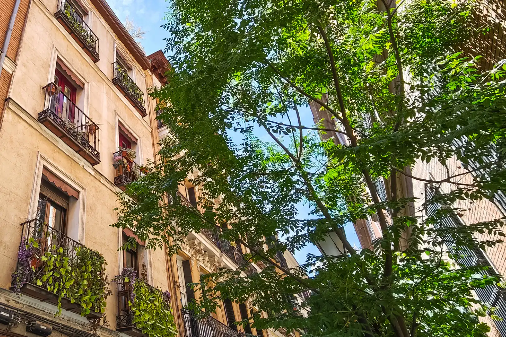 Pis en venda a Calle de la Manzana, imagen 4