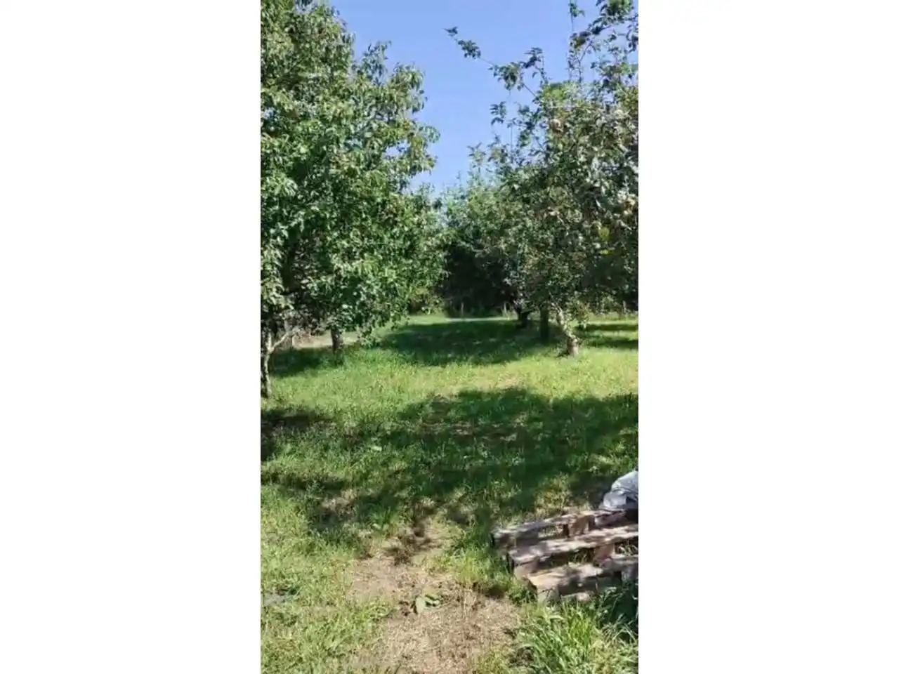 Haus mit Garten zum Verkauf in Cariño, imagen 2