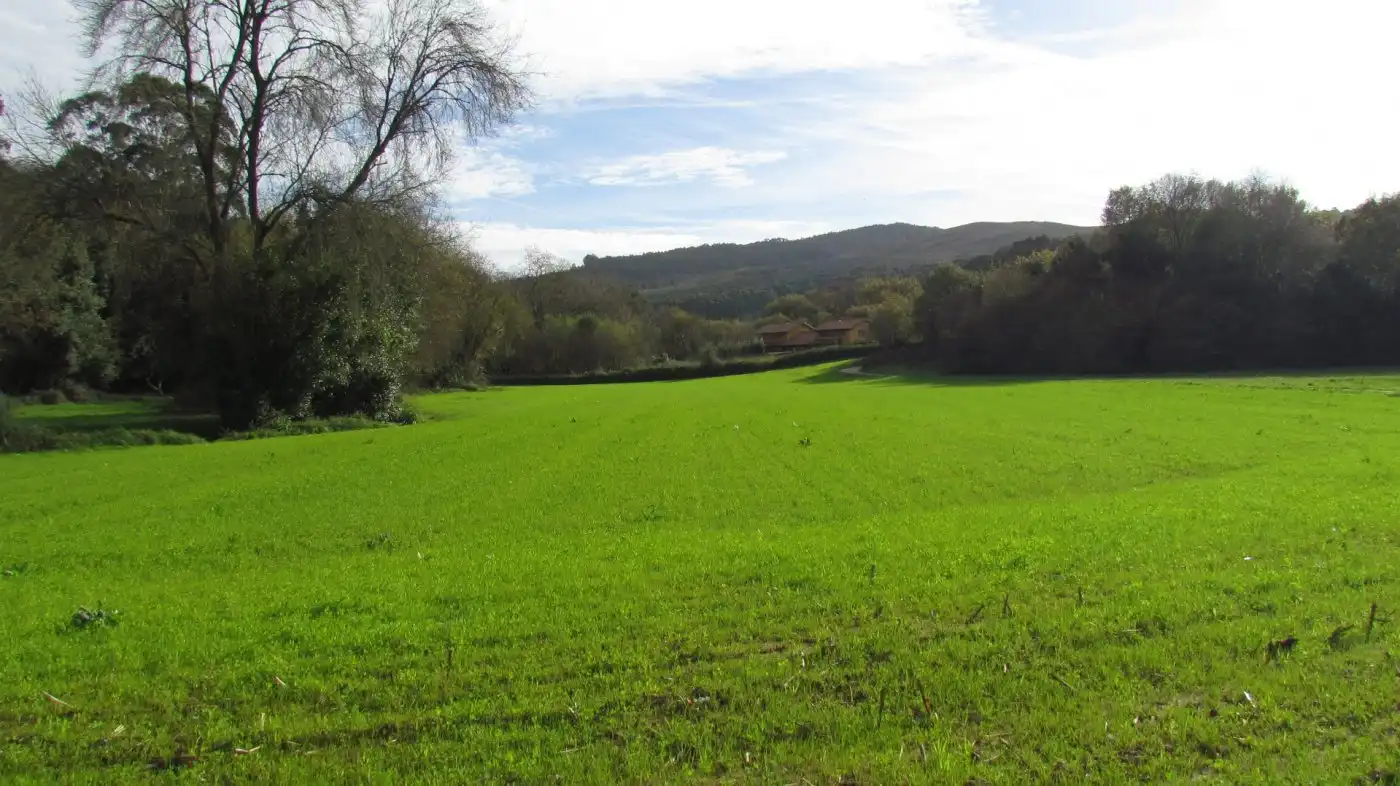 Country homes for sale in Ruiloba