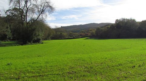 Venta de parcela rústica en Ruiloba, imagen 5
