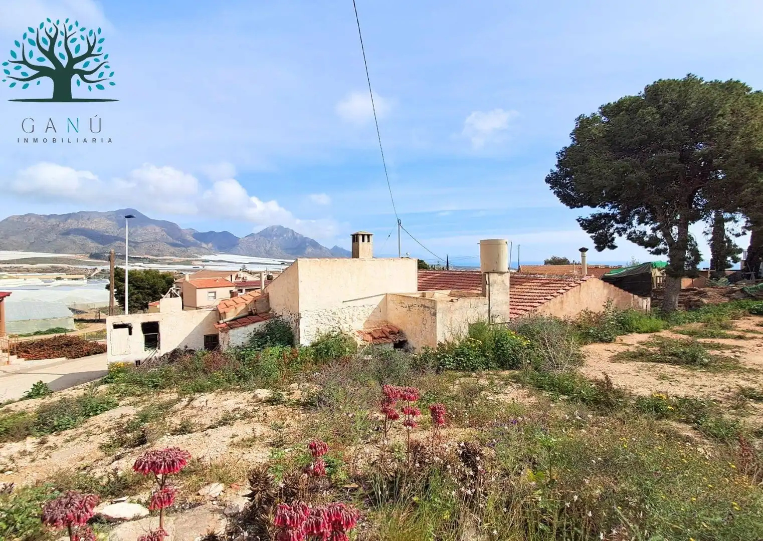 Vista exterior de Casa o xalet en venda en Mazarrón amb Jardí privat, Traster i Moblat