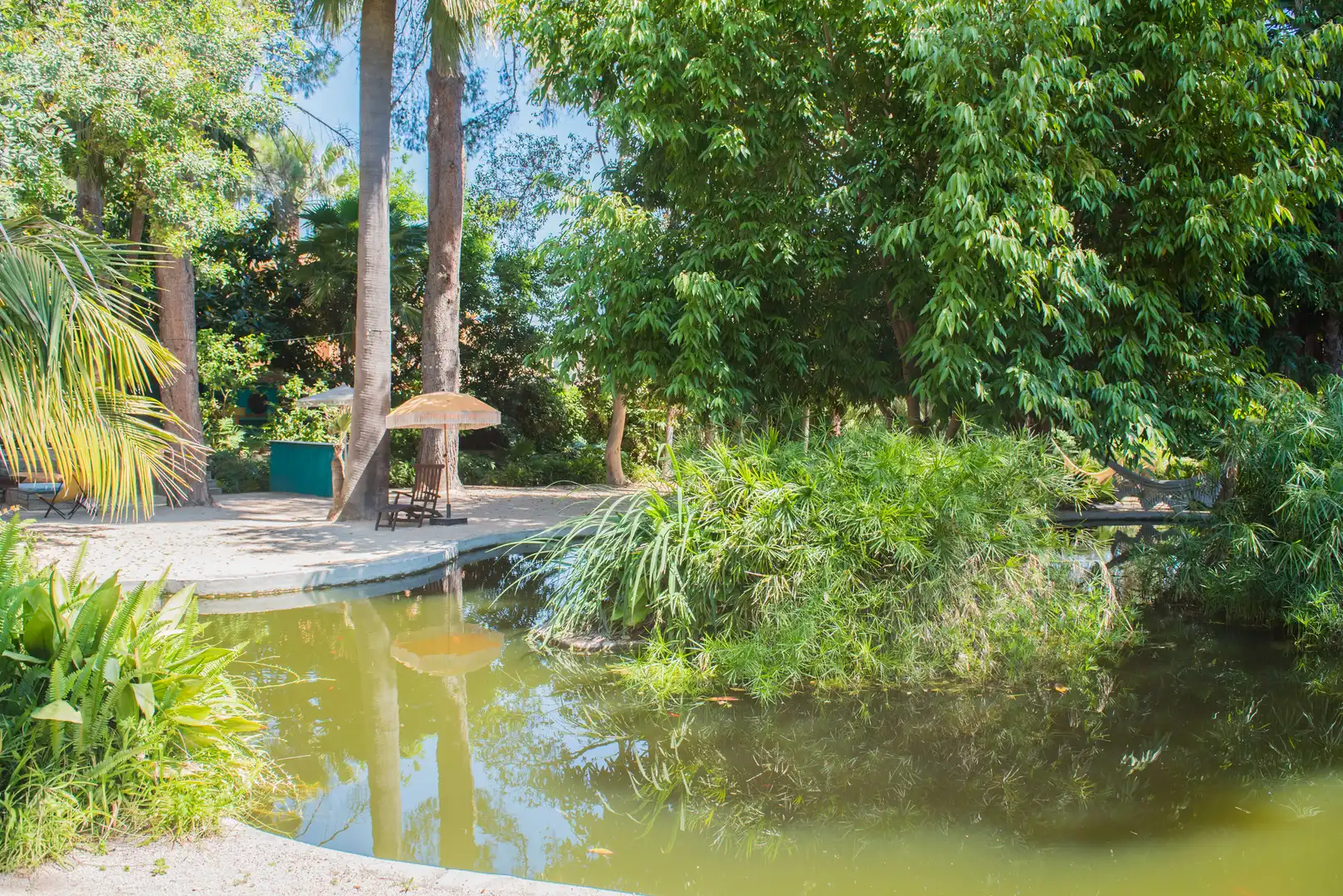 Jardín de Finca rústica en venta en Sagra con Aire acondicionado, Terraza y Piscina