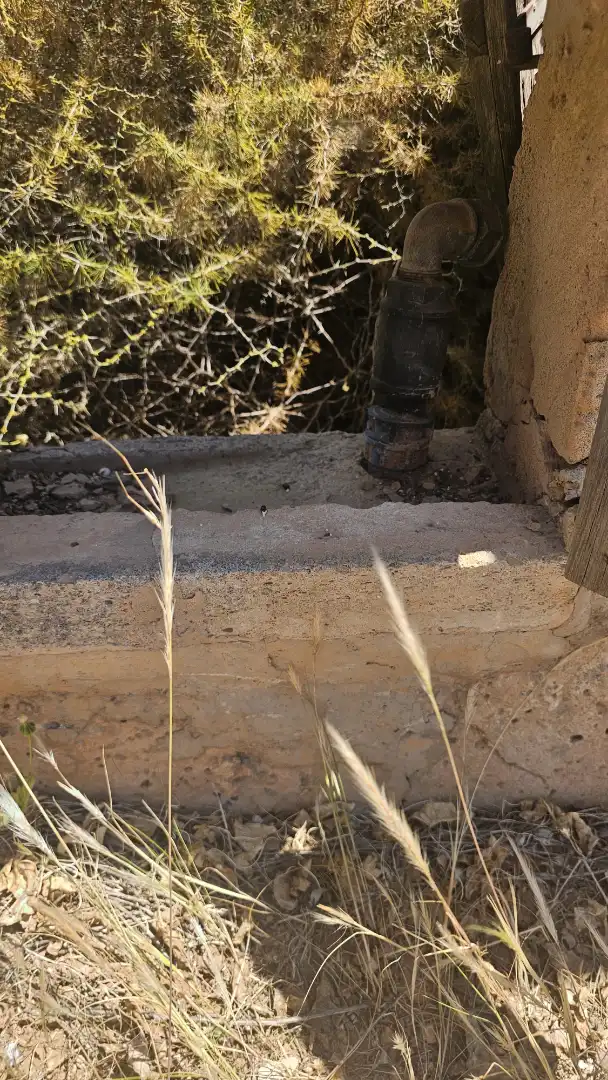 Rustikales Grundstück zum Verkauf in Llucmajor pueblo, imagen 2