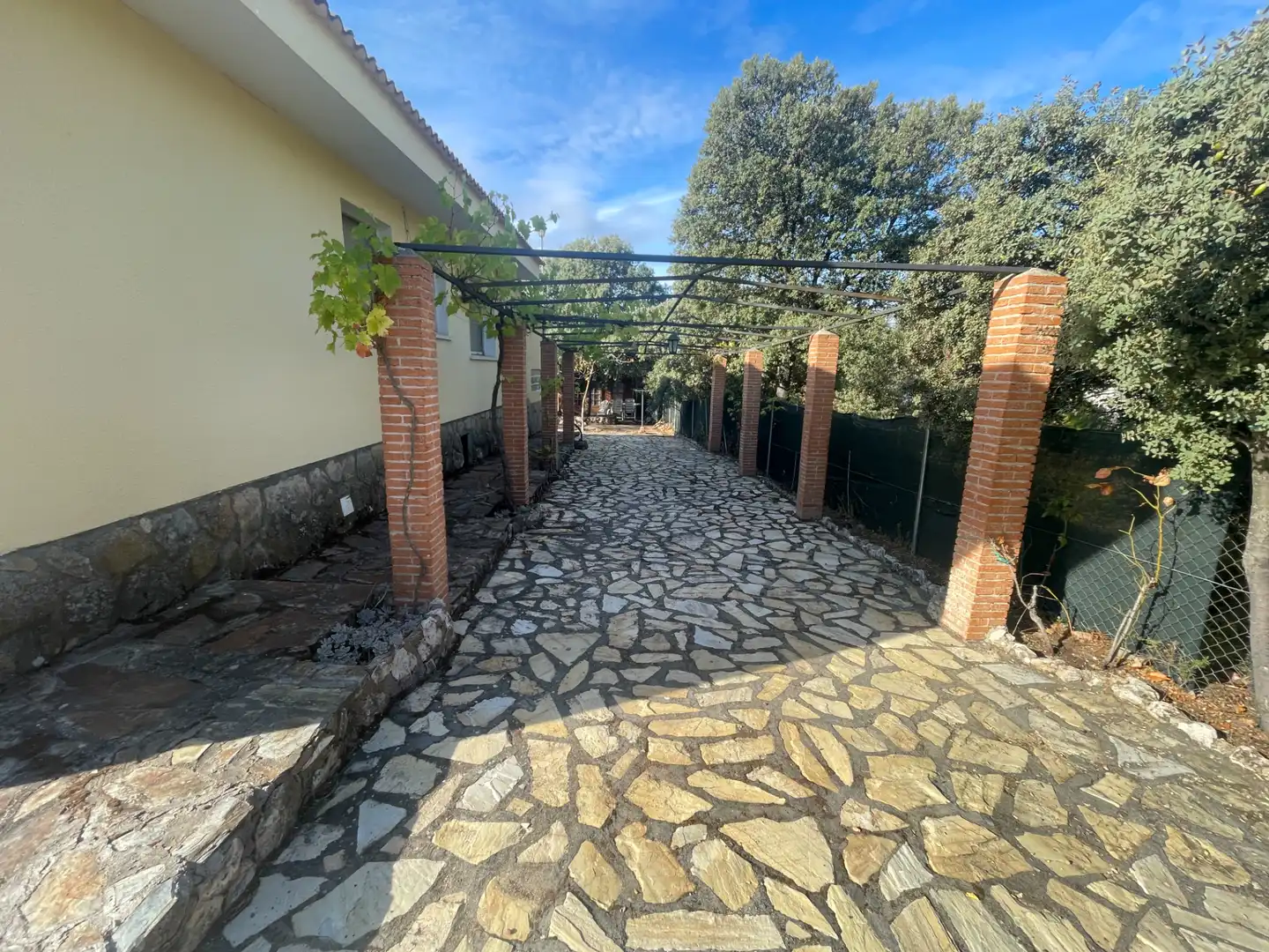 Vista exterior de Casa o chalet en venta en Albalate de Zorita con Calefacción, Jardín privado y Terraza