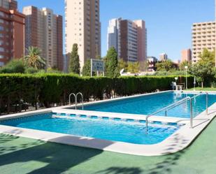 Swimming pool of Apartment to rent in Benidorm  with Air Conditioner and Swimming Pool