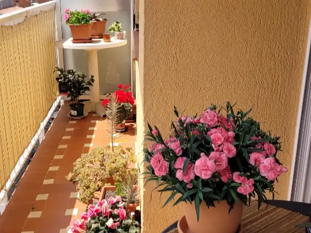 Balcony of Flat for sale in Blanes  with Balcony