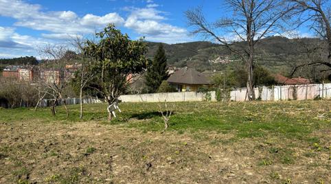 Foto 5 de Residencial en venta en Oviedo - Lg Olivares, Olivares, Oviedo