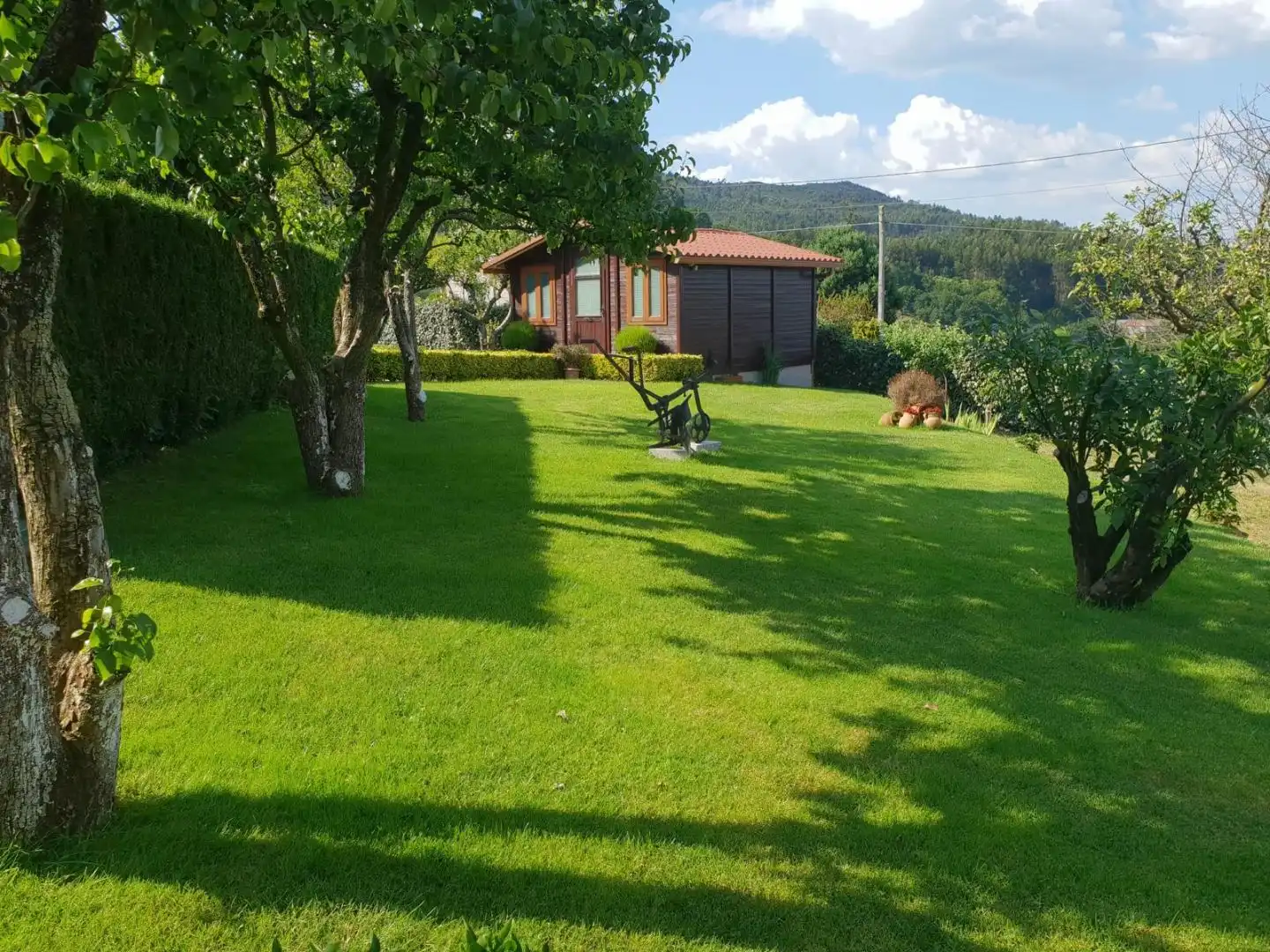 Jardí de Casa o xalet en venda en Campo Lameiro amb Piscina