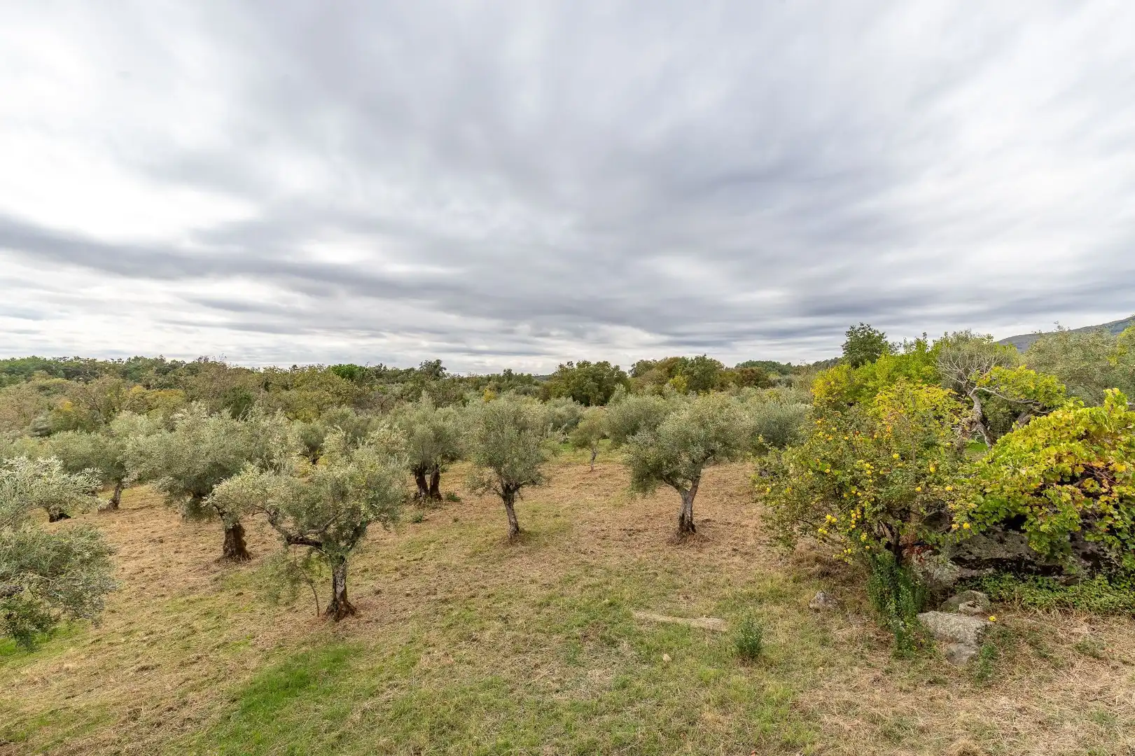 Terreni e lotti in vendita a Villanueva de la Vera, imagen 39